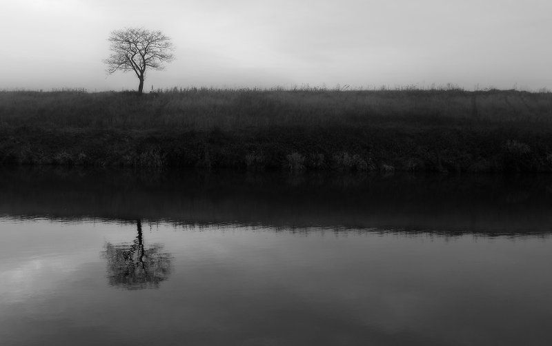 одиночество.... фото превью