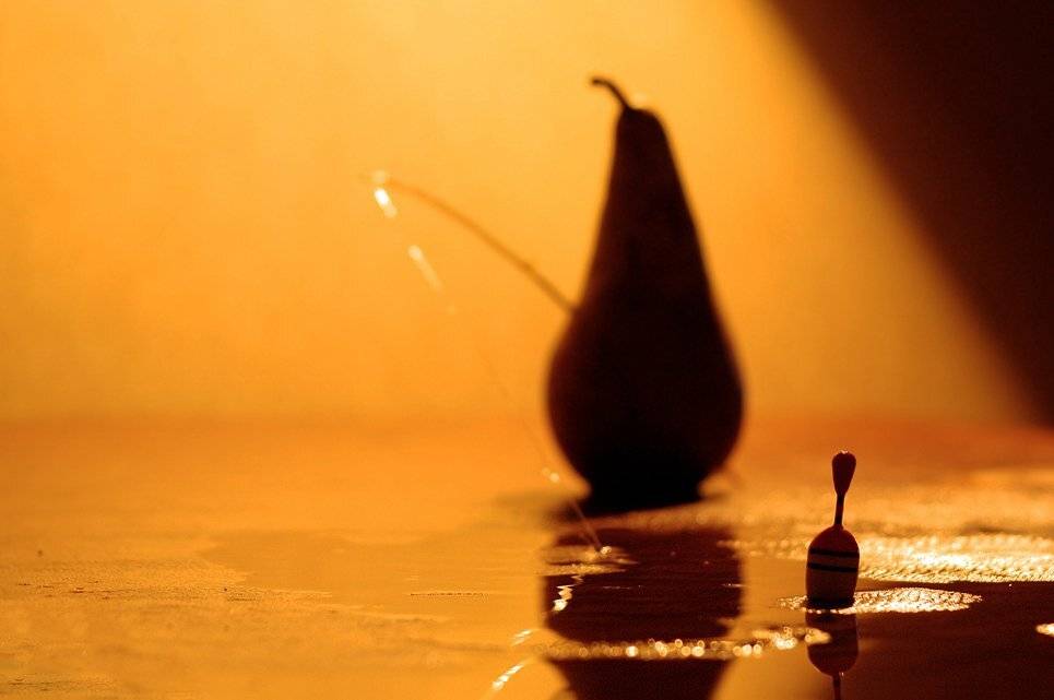 груша,вода,рыбалка,поплавок,натюрморт, олег сопов