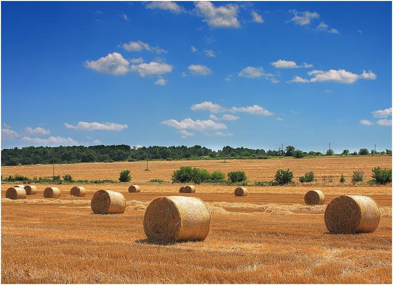 Лето фото превью
