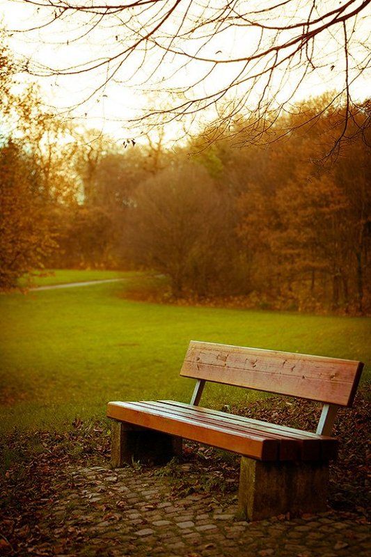 Времена года... фото превью