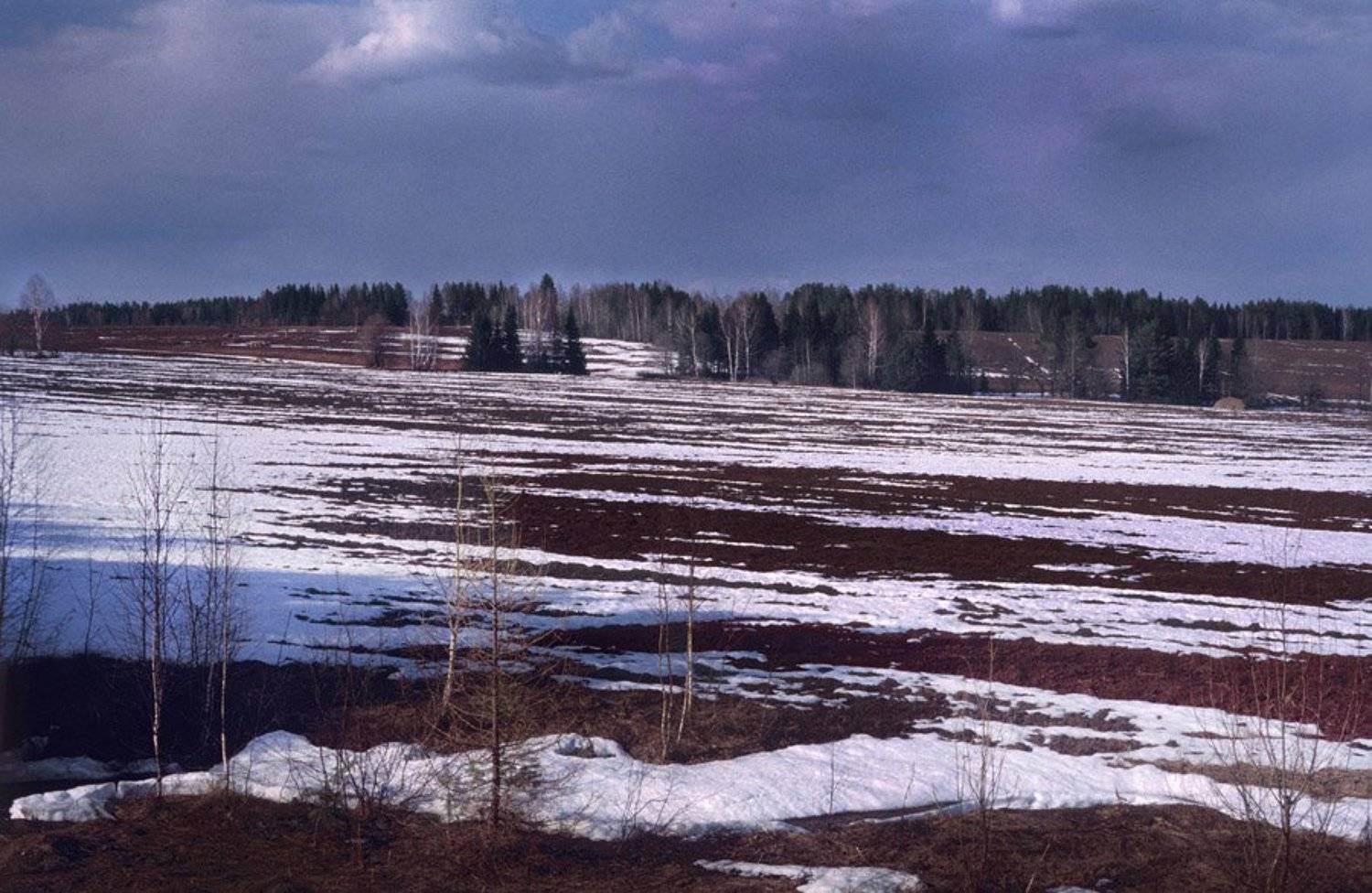 , Павел Мартюшев
