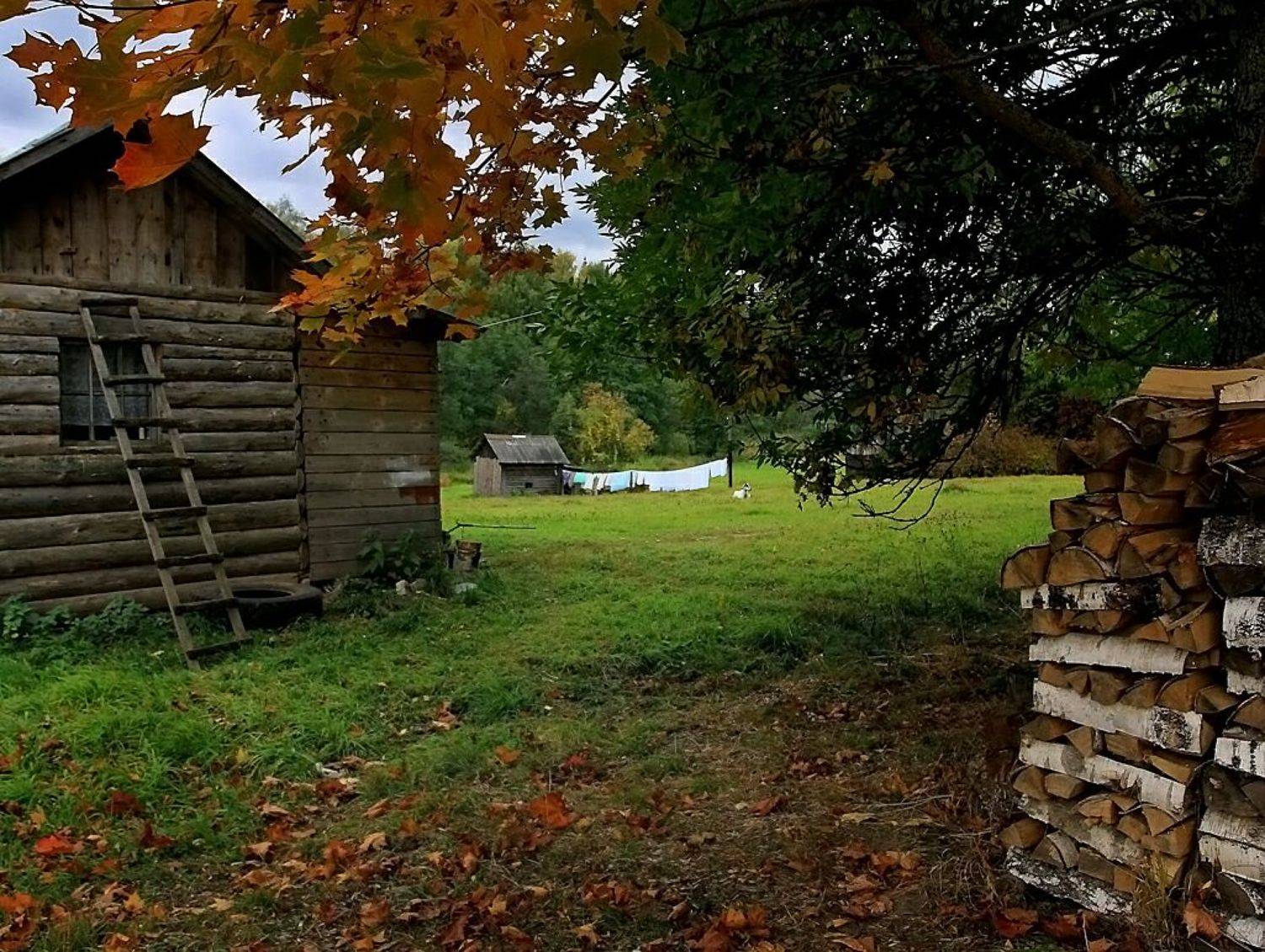 , Василий Черкасский