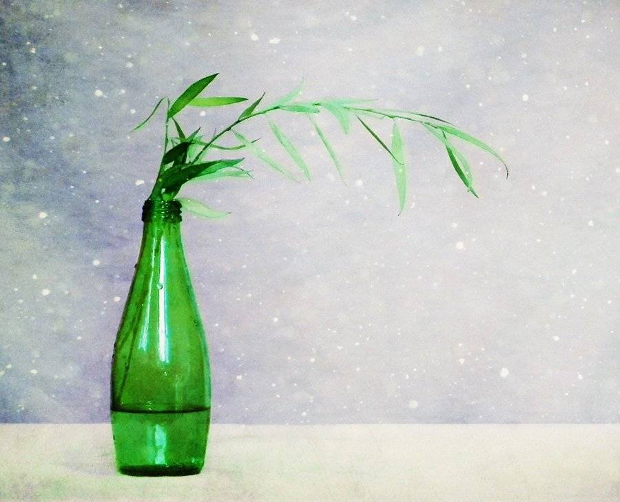 бутылка ,снег, Юлия