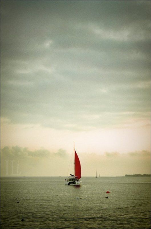 катамаран, море, парус Краснеет парус одинокий фото превью