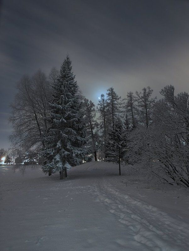 луна, ночь, пейзаж, длинная выдержка, длинная, выдержка, long exposure *** фото превью