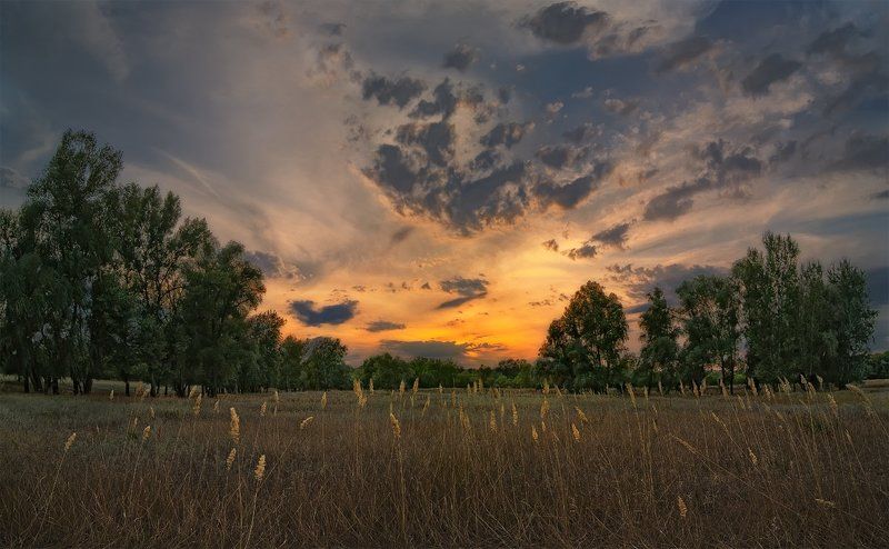 *** фото превью