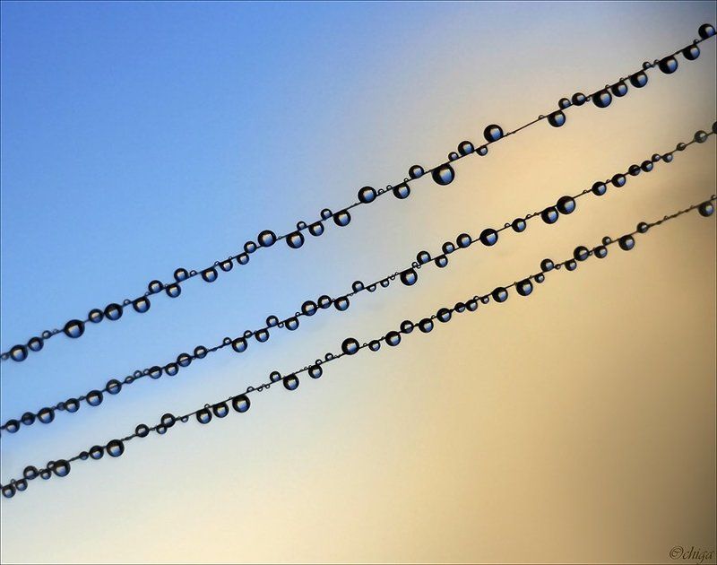 вода, капли Ни тки фото превью