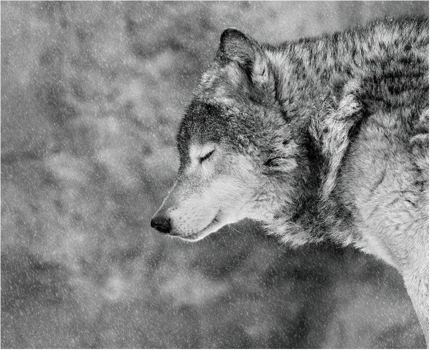 , Вика Иванова