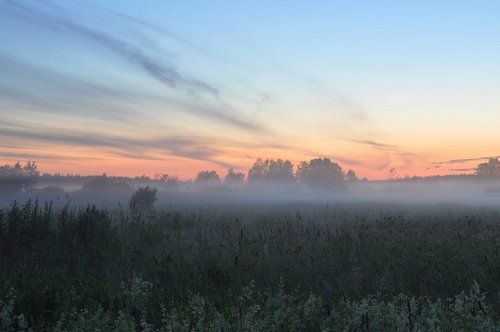 Вечерний туман