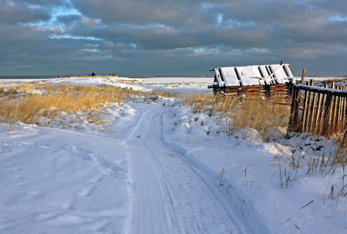 , Андрей Котов