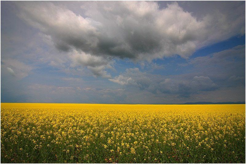 Поле фото превью