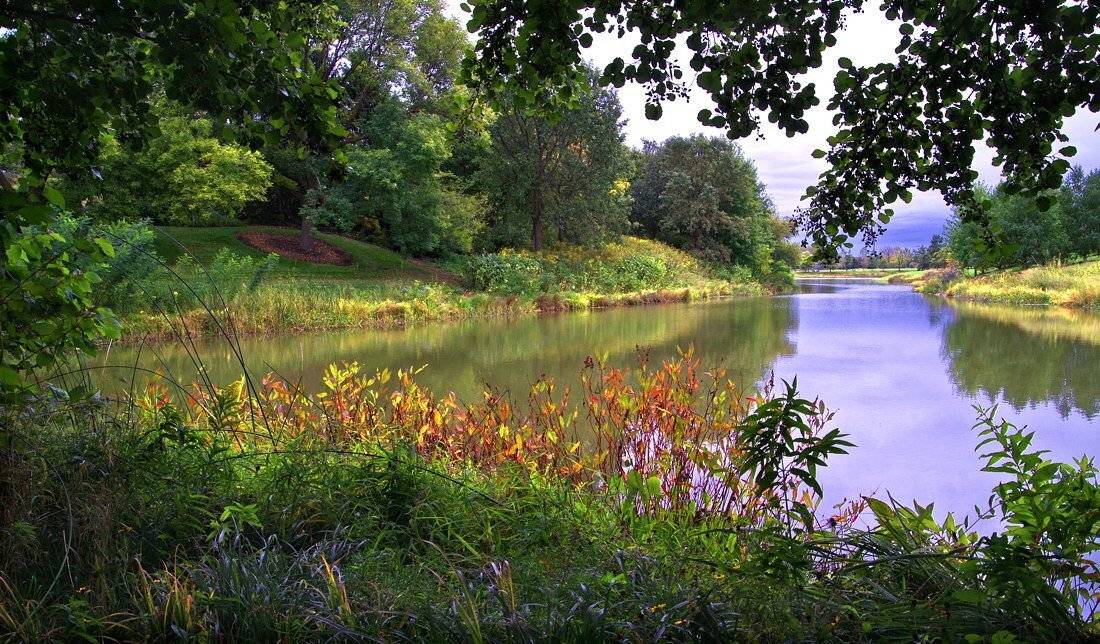 природа, пейзаж, река, лес, Pavel