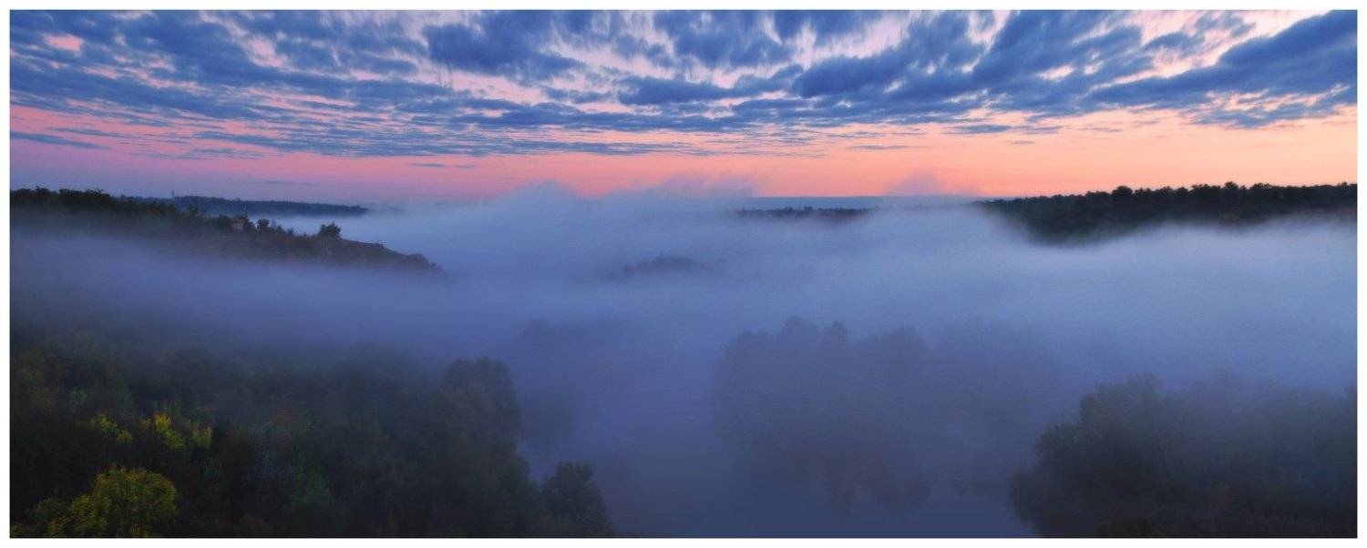 , Денис Кривой