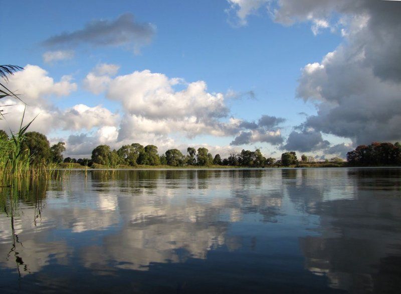пруд, осень, небо, облака, отражения в воде, деревья, камышь. Зеркальное отражение фото превью
