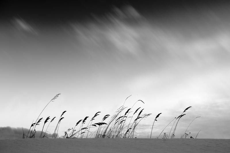 ** фото превью