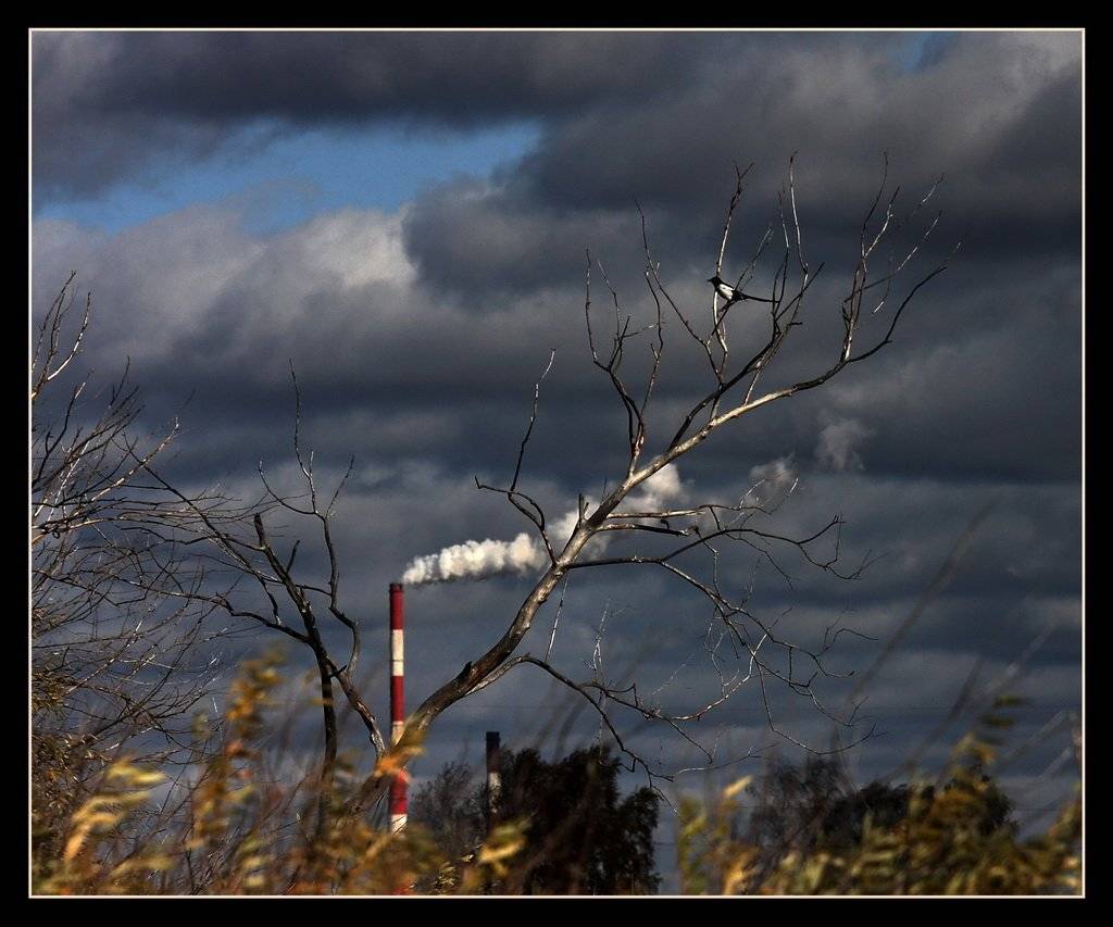 , Васенин Валерий