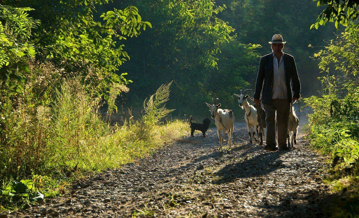 , Валерий Смирнов