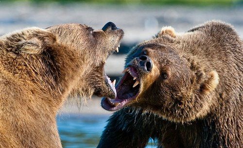 Душевный разговор