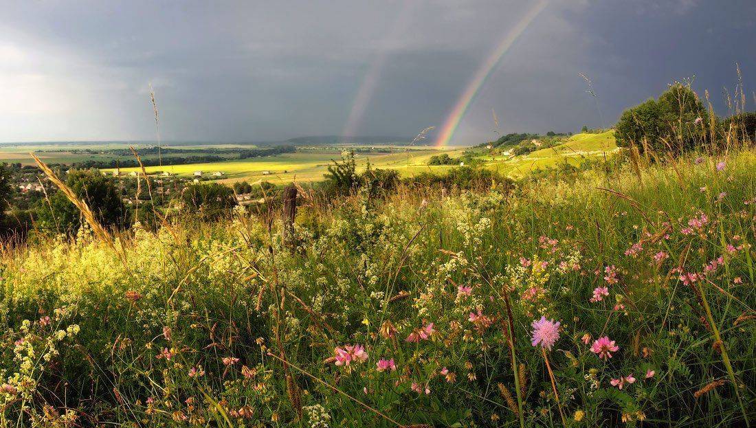 лето, дождь, радуга, цветы, Владимир