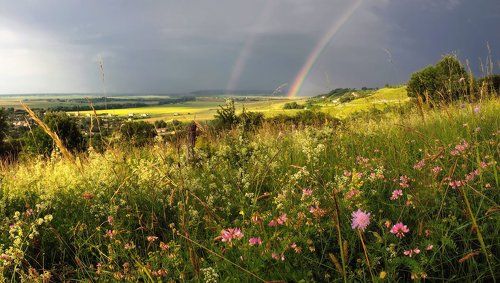 Немного лета