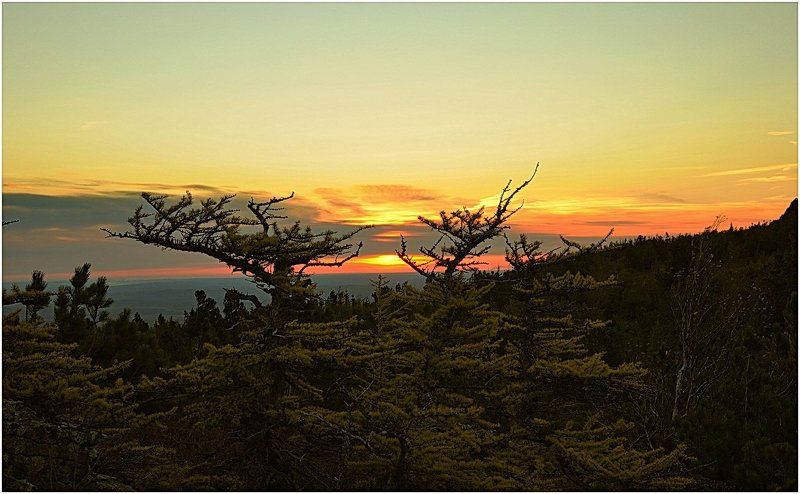 На рассвете. фото превью