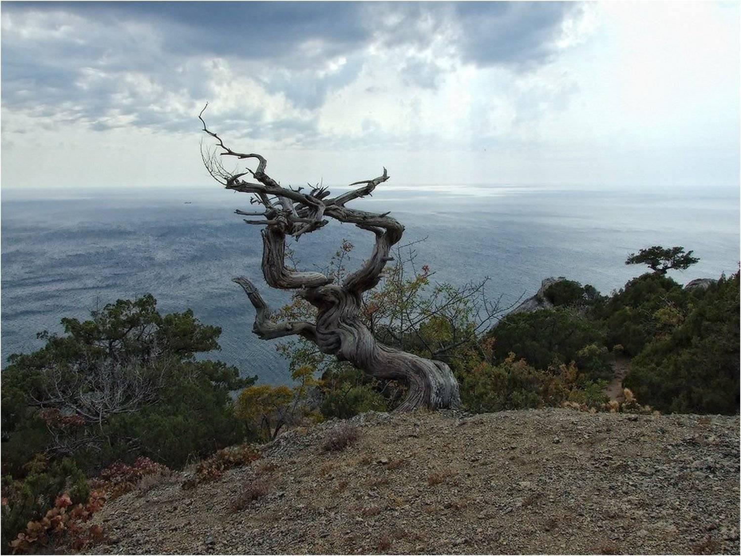 , Александр