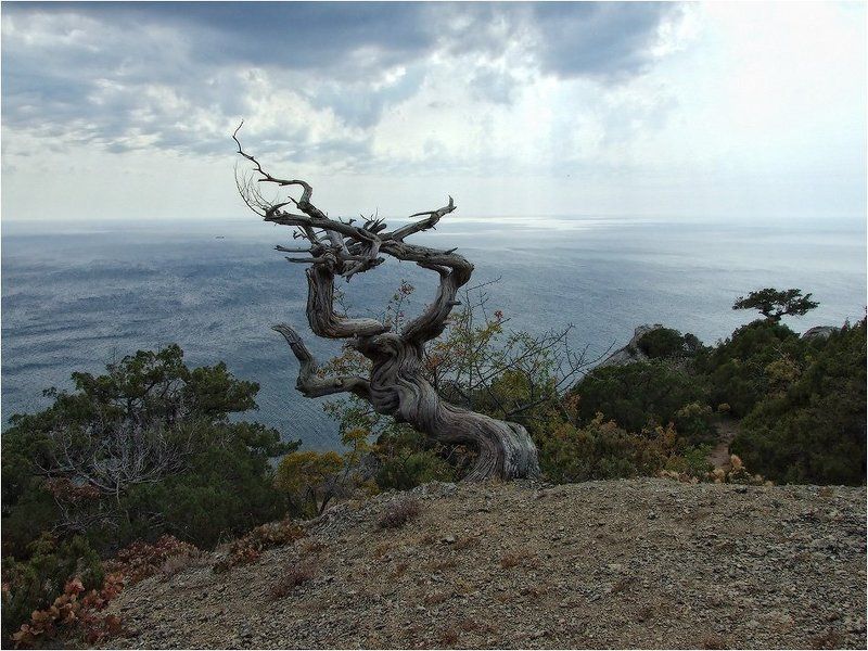 Жестокое время фото превью