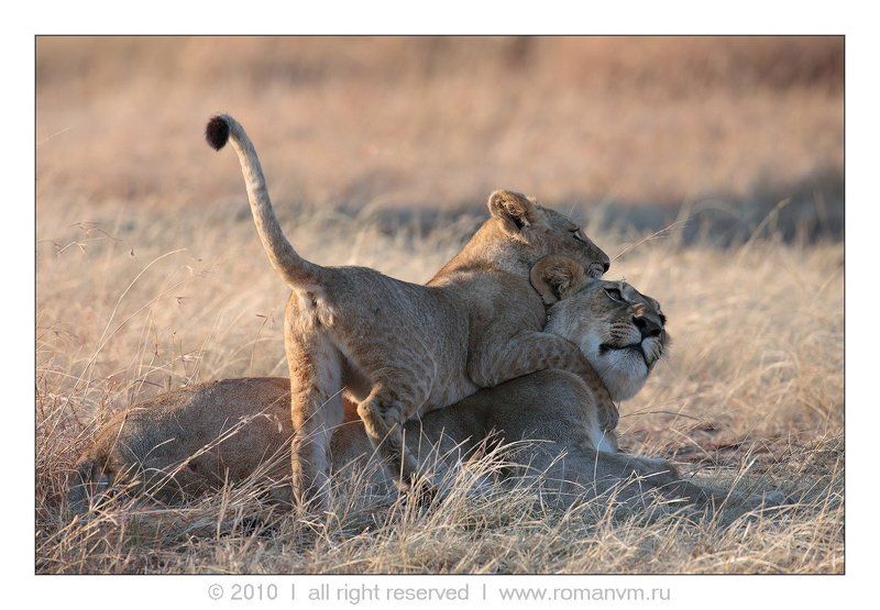 Дочки-матери. фото превью