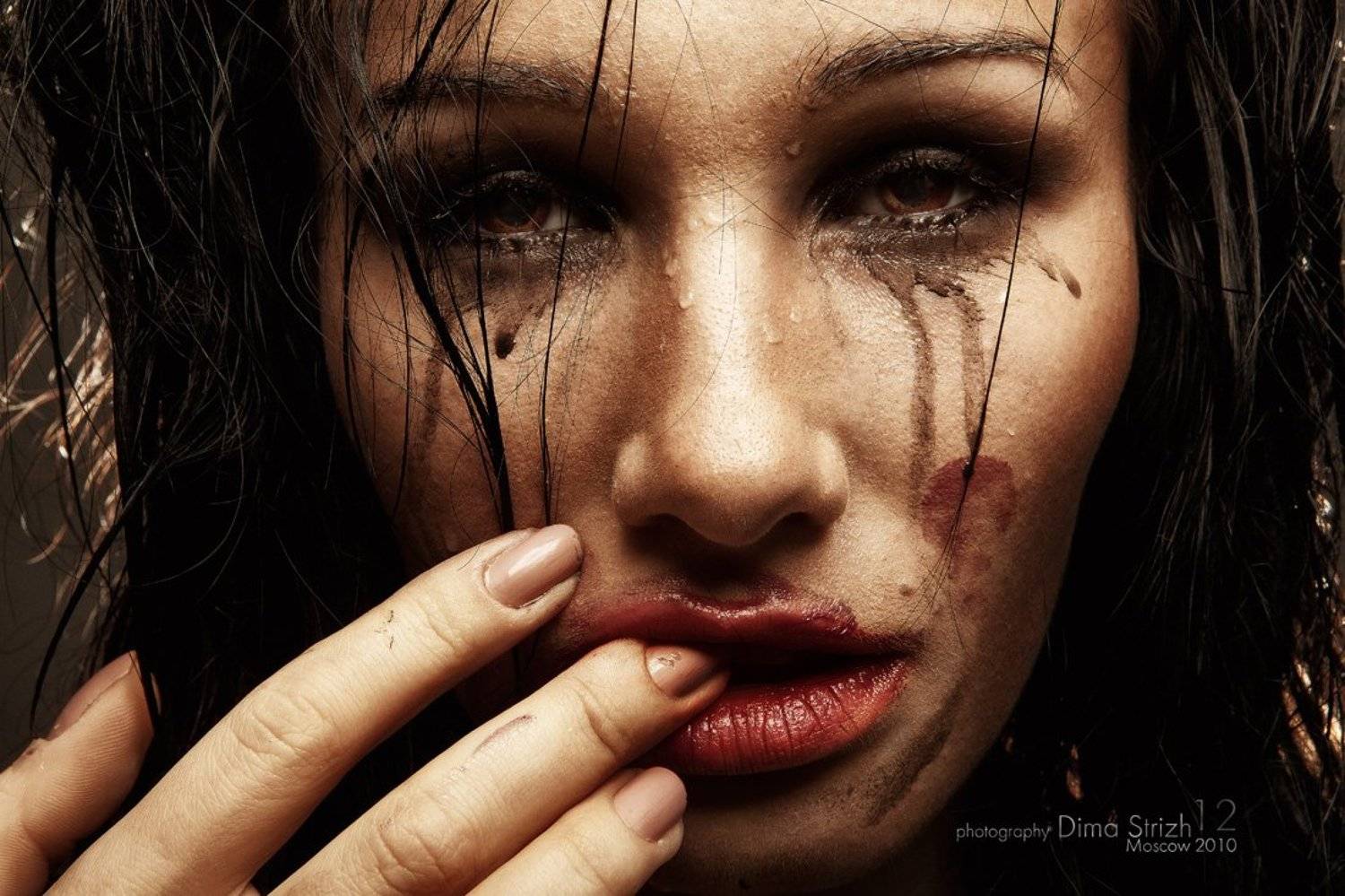 , Стрижевский Дмитрий