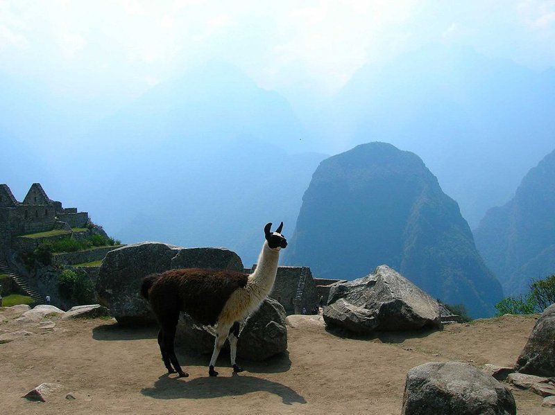 на рассвете фото превью