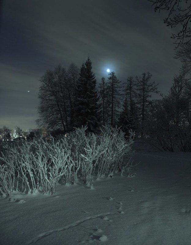 луна, ночь, пейзаж, длинная выдержка, длинная, выдержка, long exposure *** фото превью