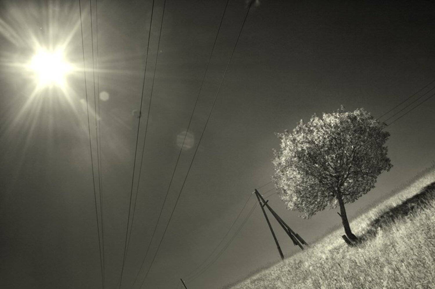 , Константин Стародубцев