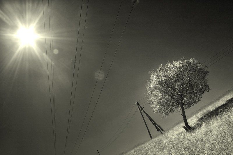 А в этом месте... по другому не прожить... фото превью