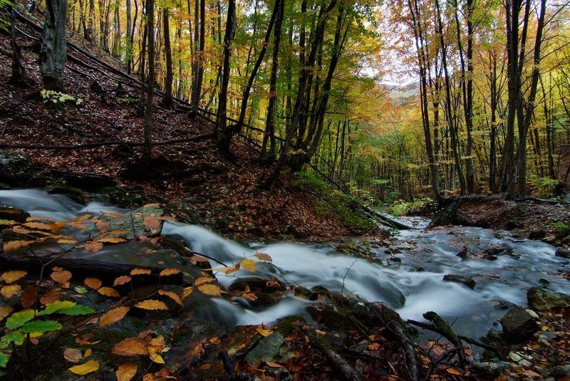 ... фото превью