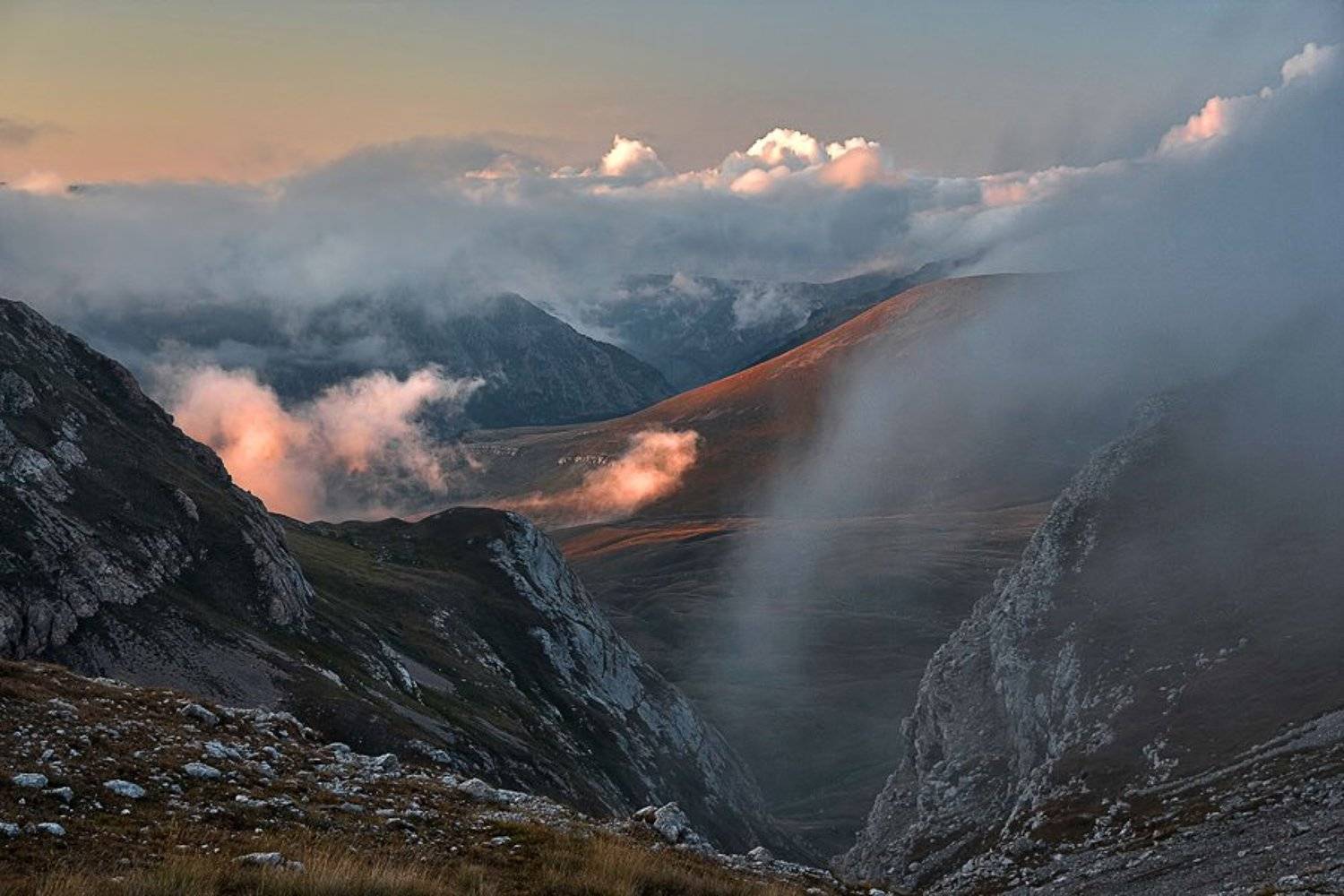 , Синицкий Виталий