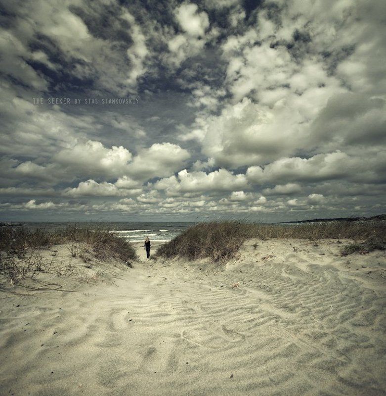 The seeker фото превью