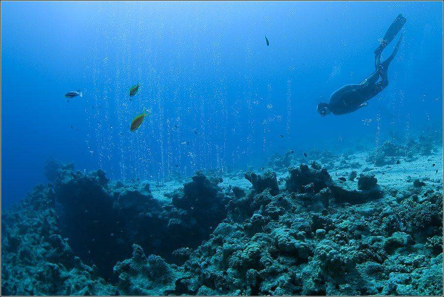 , Владимир Жданов