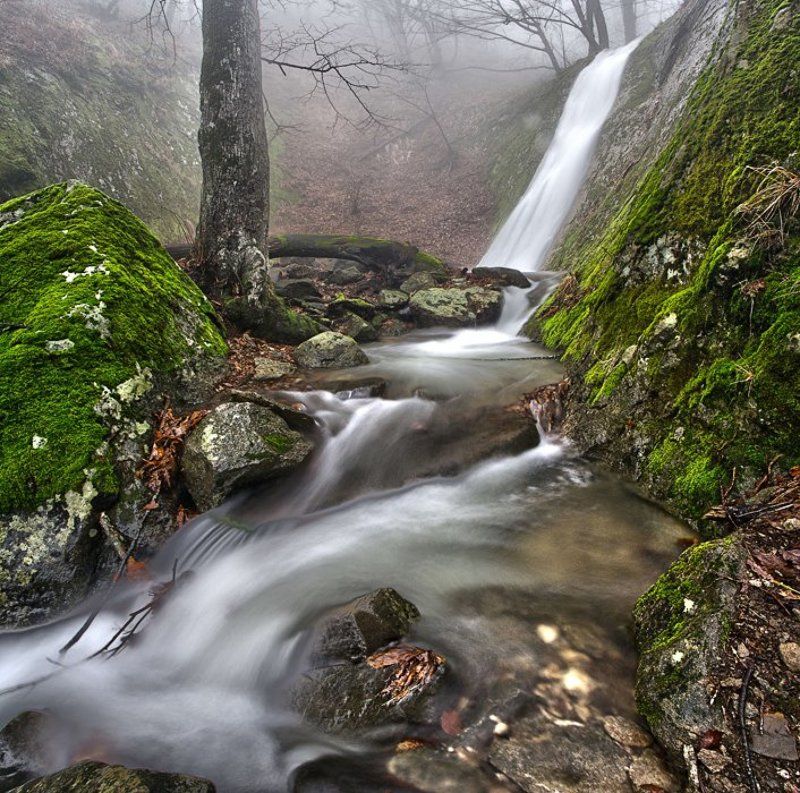 Февральские воды. фото превью