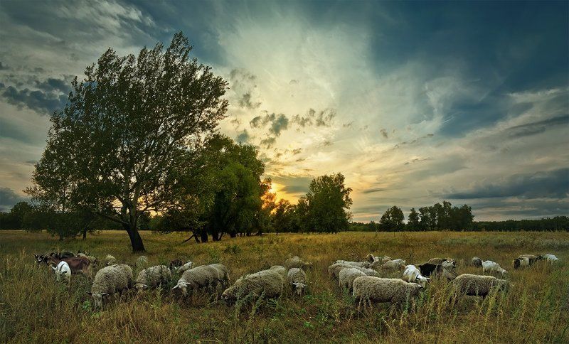 На закате дня фото превью