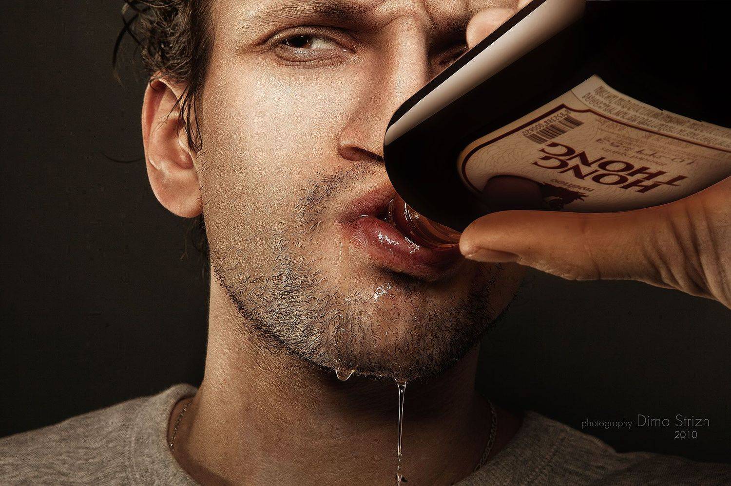 , Стрижевский Дмитрий