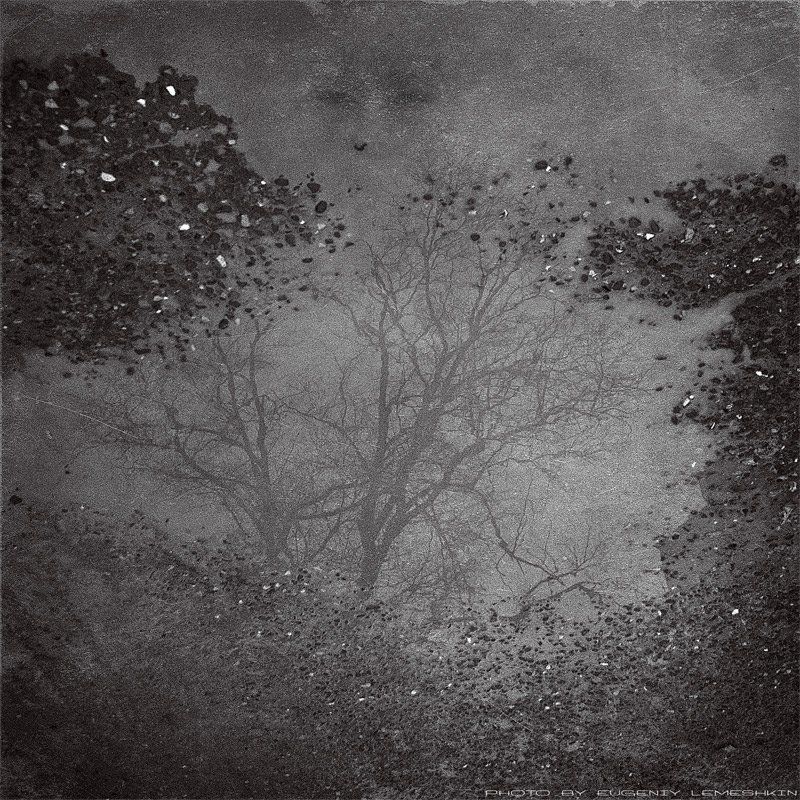 смотрящий изнутри асфальта.. фото превью