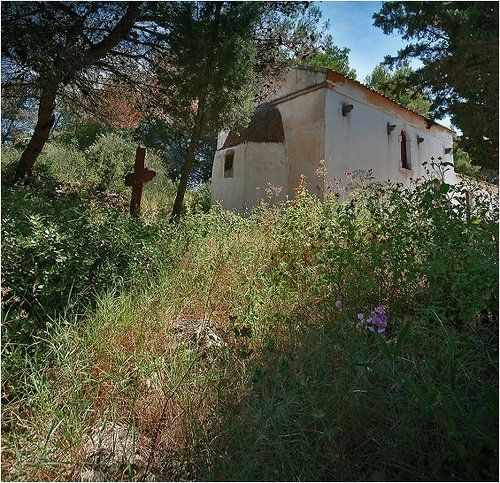 последнее прибежище