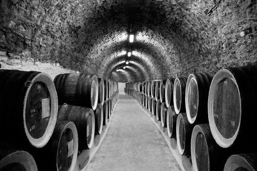 In vino veritas