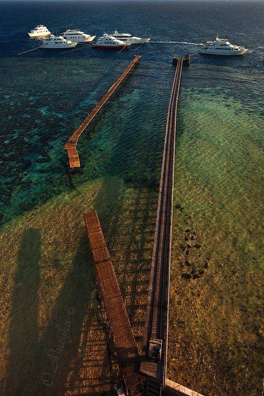 , Оксана Музыка