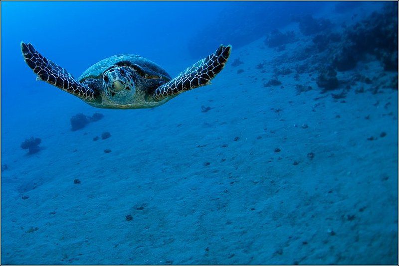 Боевой разворот фото превью