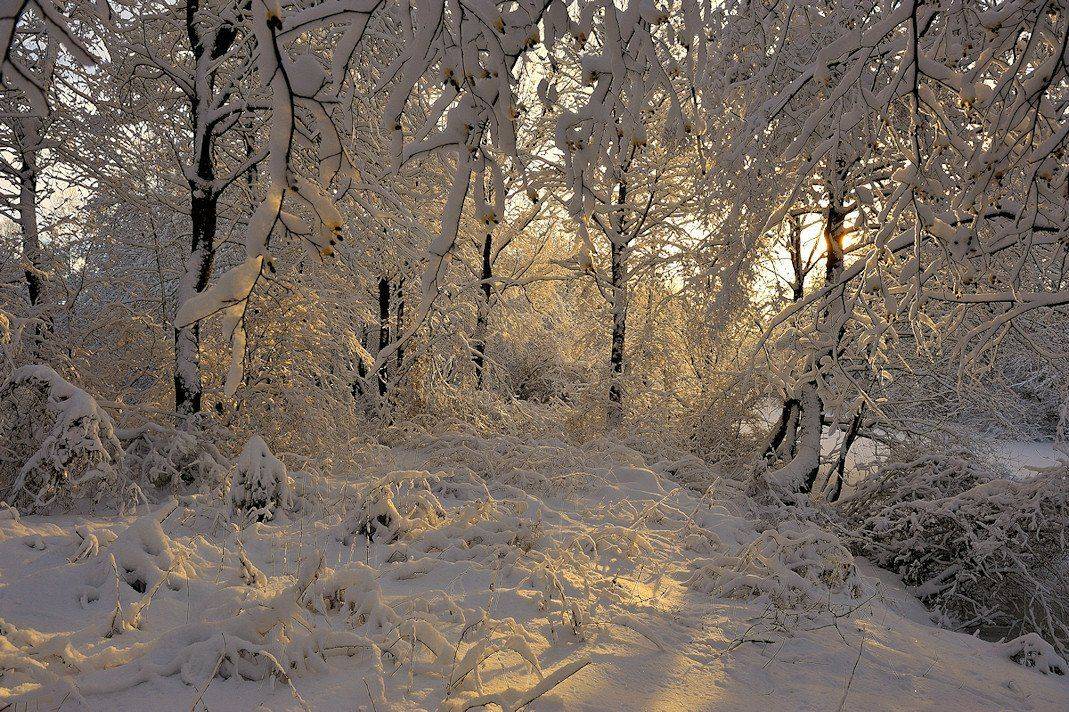 , Андрей Балабин