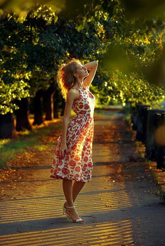 ветер, аллея, солнце, лучи Когда садится алый день... фото превью