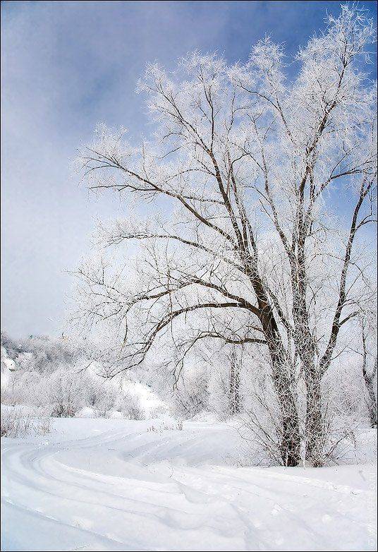 зима, Алексей Строганов