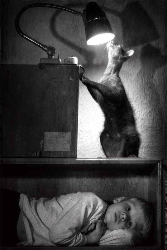 *** фото превью