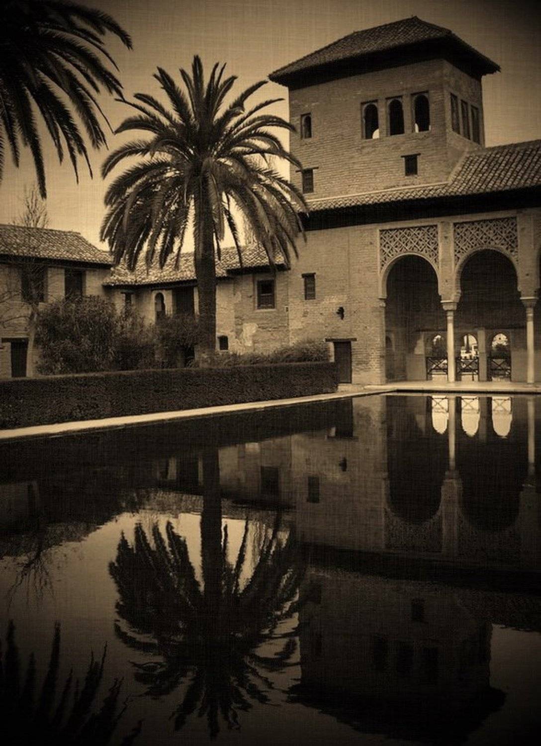 архитектуа, Vasylevskyy Vitaliy